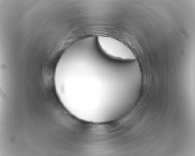 X0000091200332200708091044