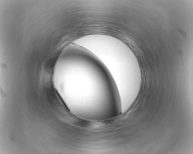 X0000091200333200708091044