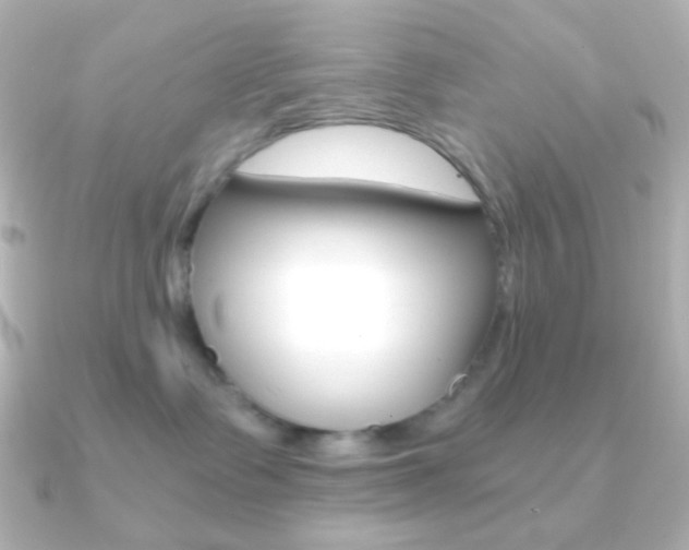 X0000091200335200708091044
