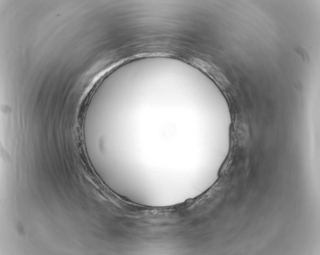 X0000091200338200708091044