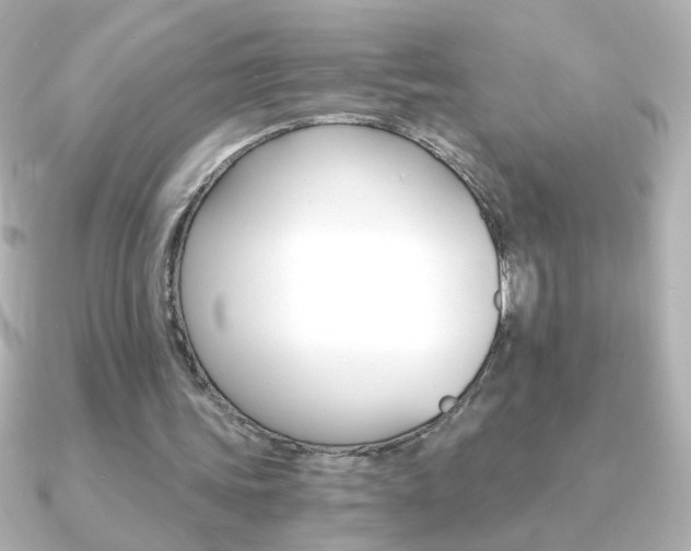X0000091200339200708091044