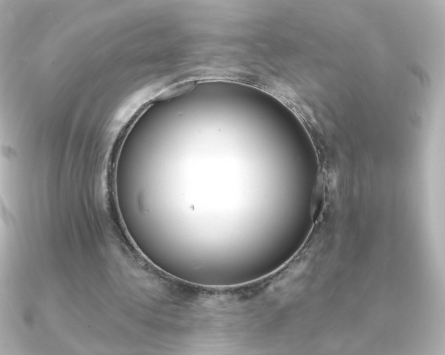 X0000091200340200708091044