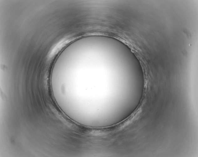 X0000091200341200708091044