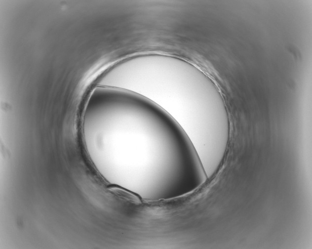 X0000091200344200708091044