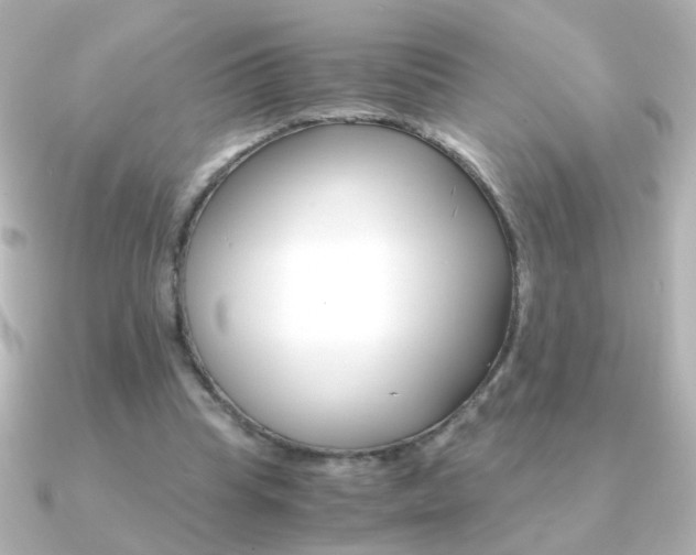 X0000091200345200708091044
