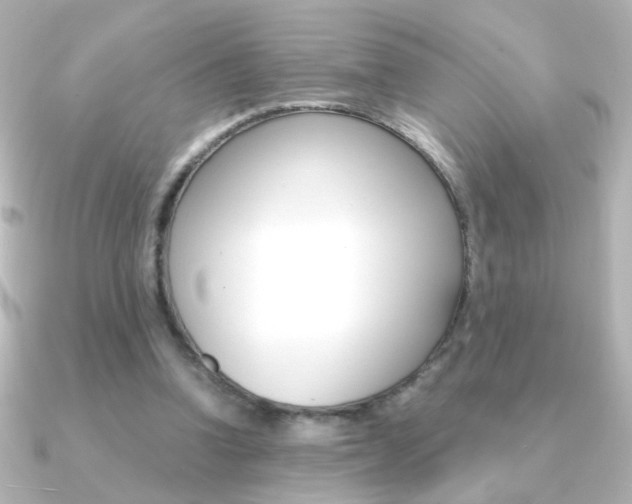 X0000091200346200708091044