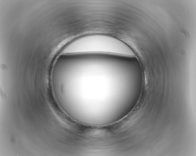 X0000091200348200708091044