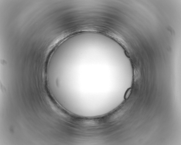 X0000091200349200708091044