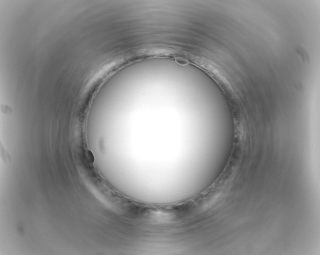 X0000091200352200708091044