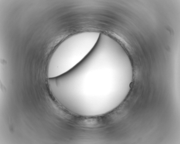 X0000091200353200708091044