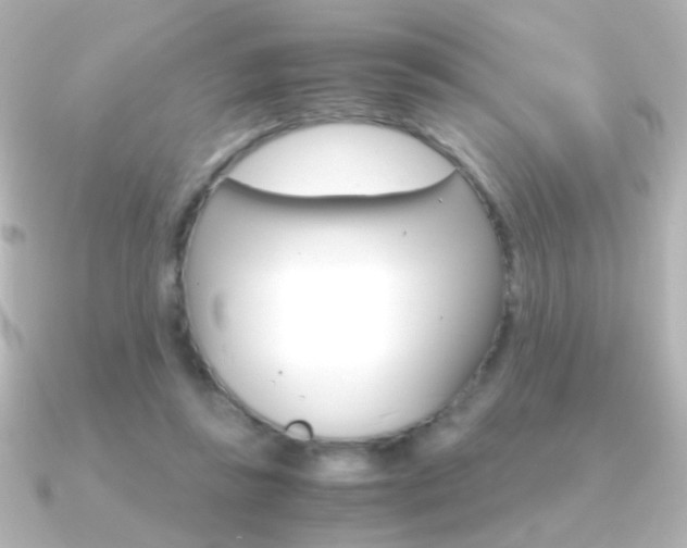 X0000091200355200708091044