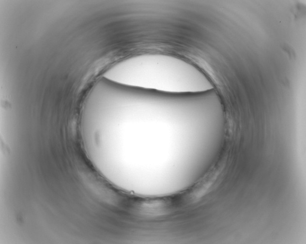 X0000091200357200708091044