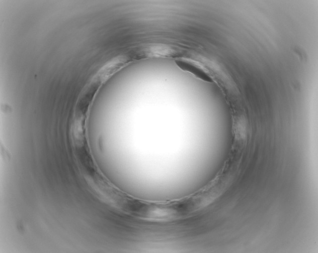 X0000091200360200708091044