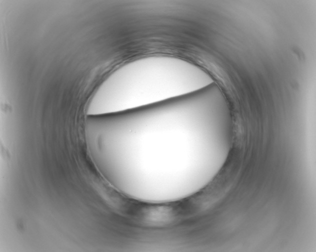 X0000091200361200708091044