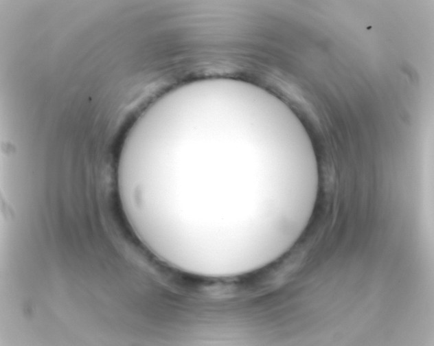 X0000091200362200708091044