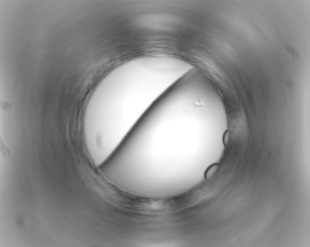 X0000091200365200708091044