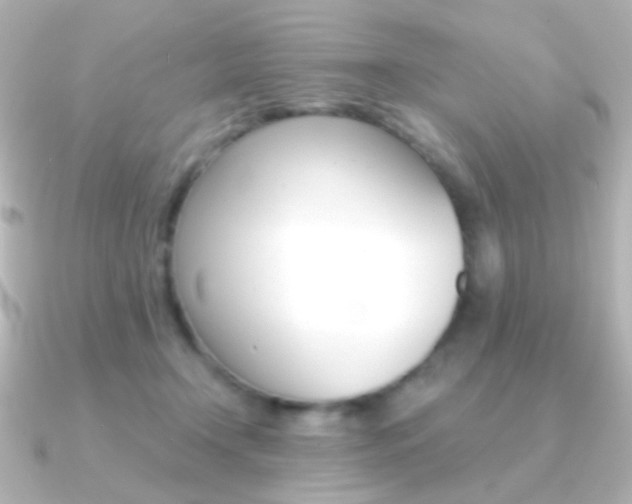 X0000091200366200708091044