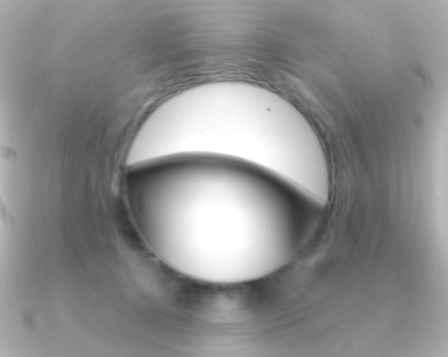 X0000091200368200708091044