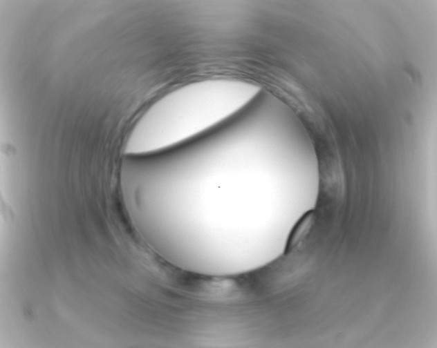 X0000091200374200708091044
