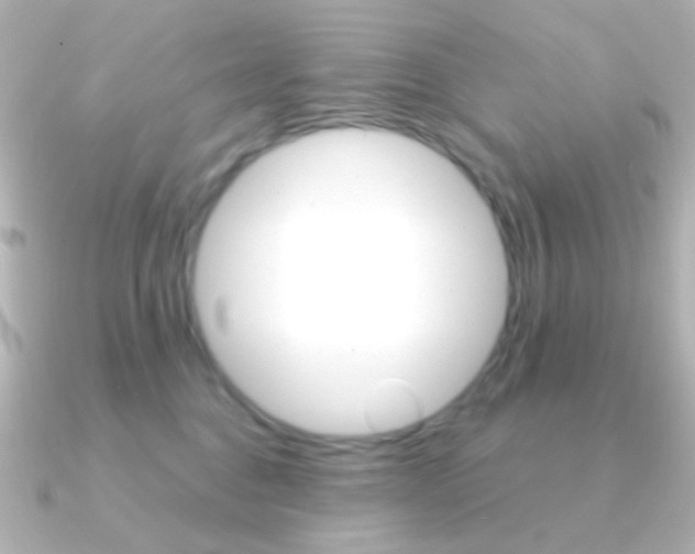X0000091200376200708091044