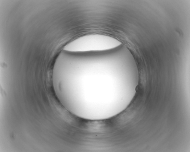 X0000091200378200708091044