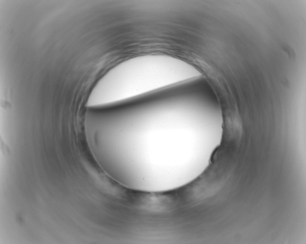 X0000091200379200708091044