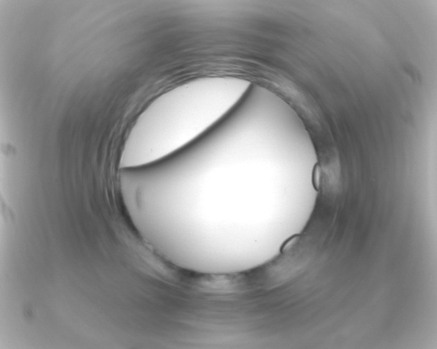 X0000091200381200708091044
