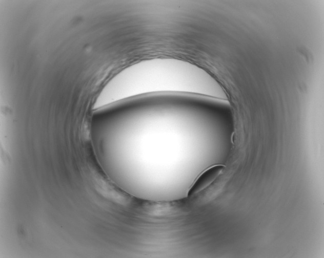 X0000091200384200708091044