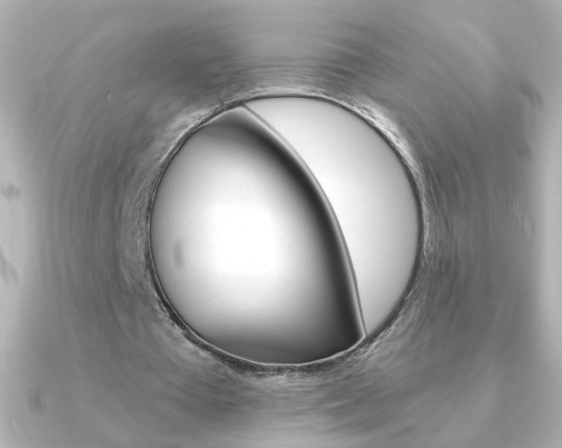 X0000091200385200708091044