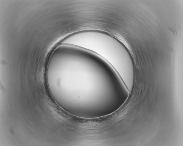 X0000091200387200708091044