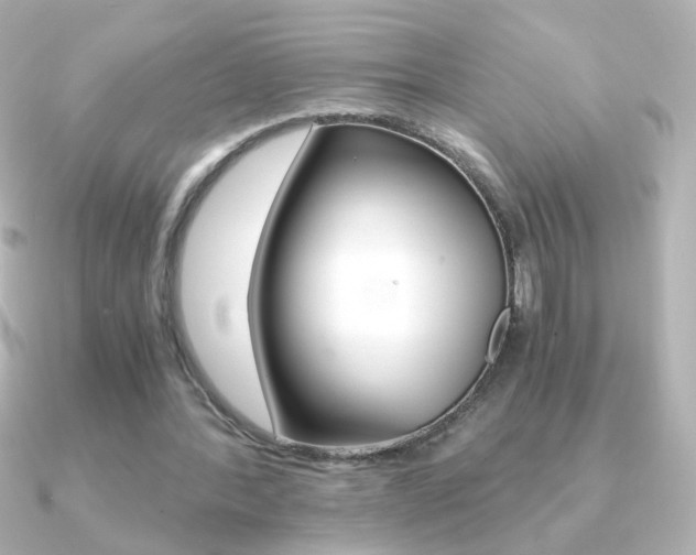 X0000091200388200708091044