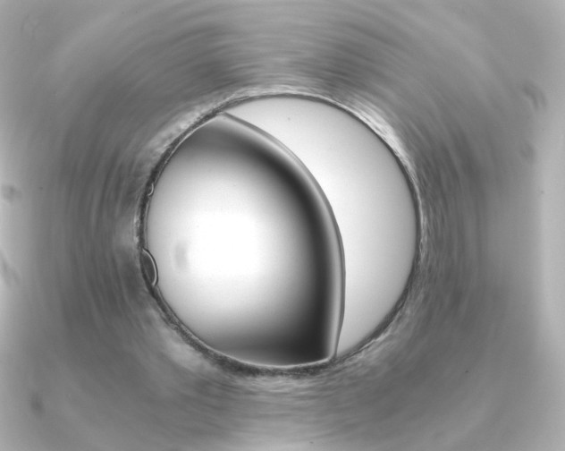 X0000091200389200708091044