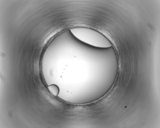 X0000091200390200708091044