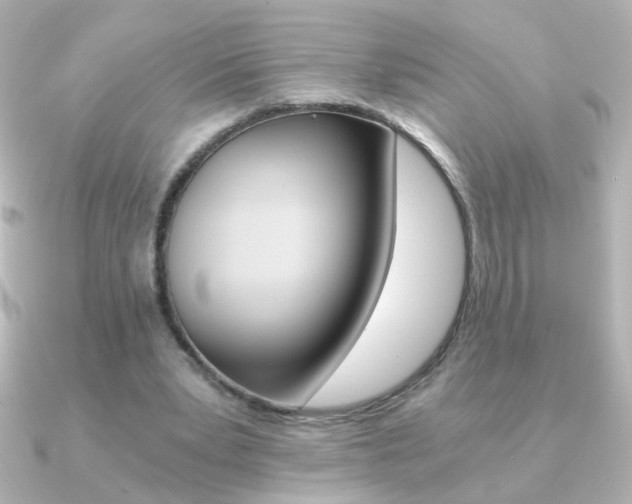 X0000091200391200708091044