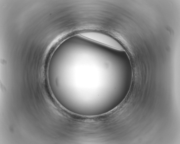 X0000091200392200708091044