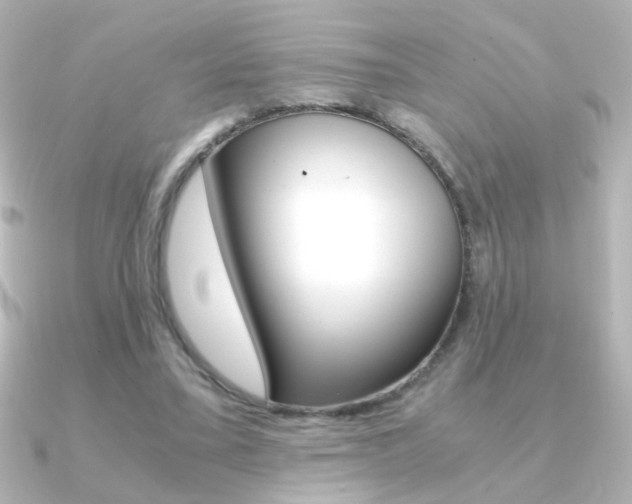 X0000091200395200708091043