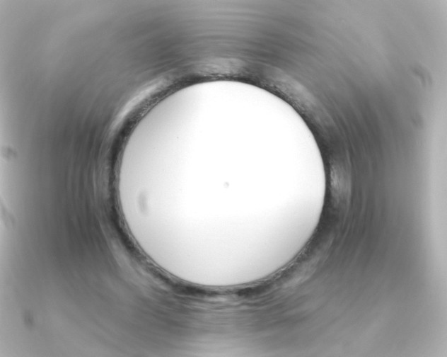 X0000091200396200708091043