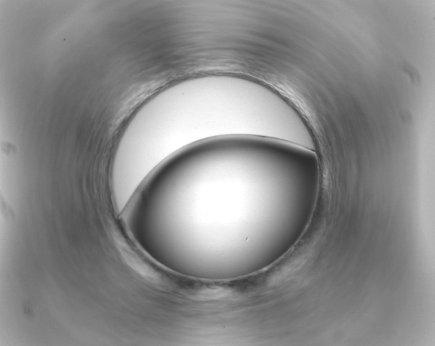X0000091200397200708091043