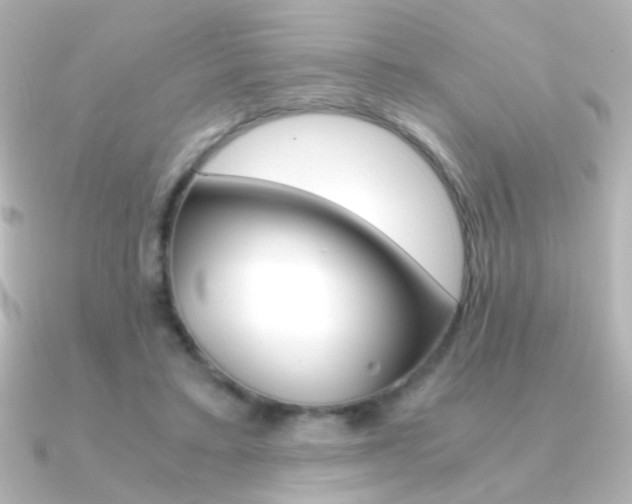 X0000091200403200708091043