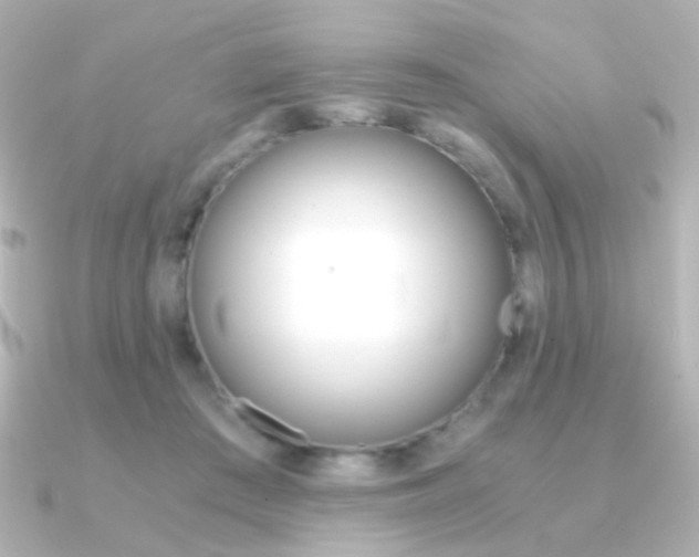 X0000091200409200708091043