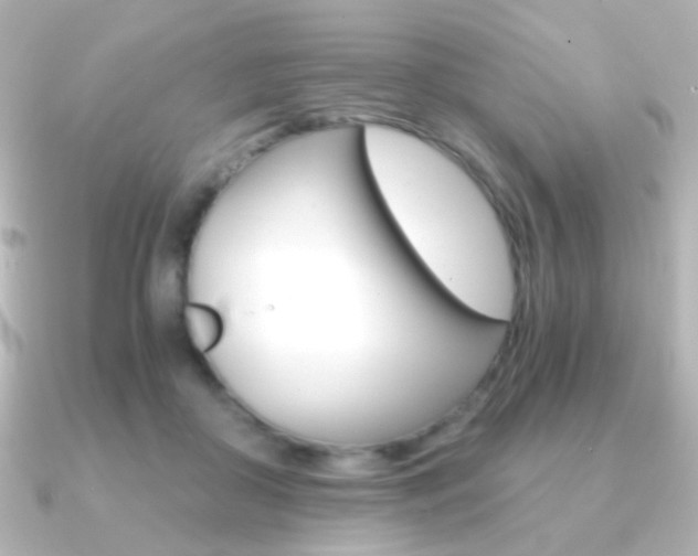 X0000091200410200708091043