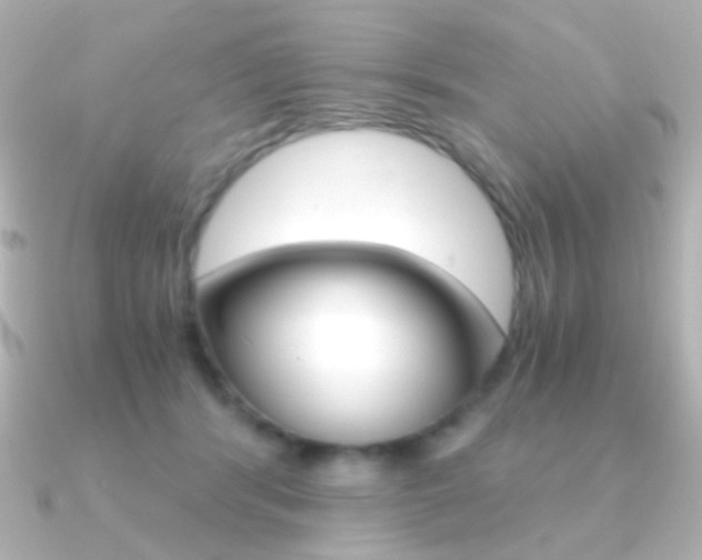X0000091200416200708091043