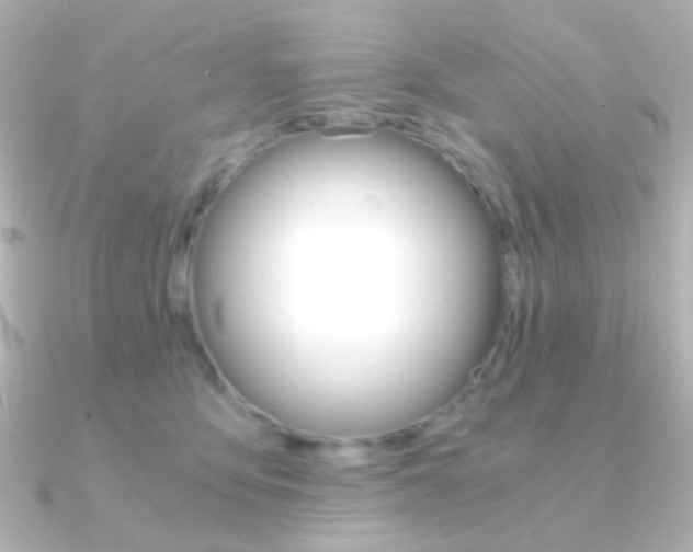 X0000091200419200708091043