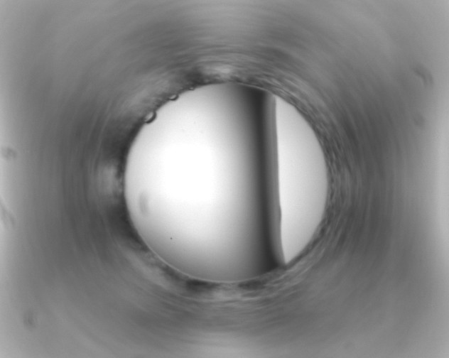 X0000091200420200708091043