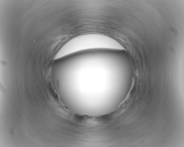 X0000091200423200708091043