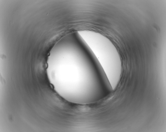 X0000091200424200708091043
