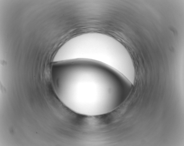 X0000091200425200708091043