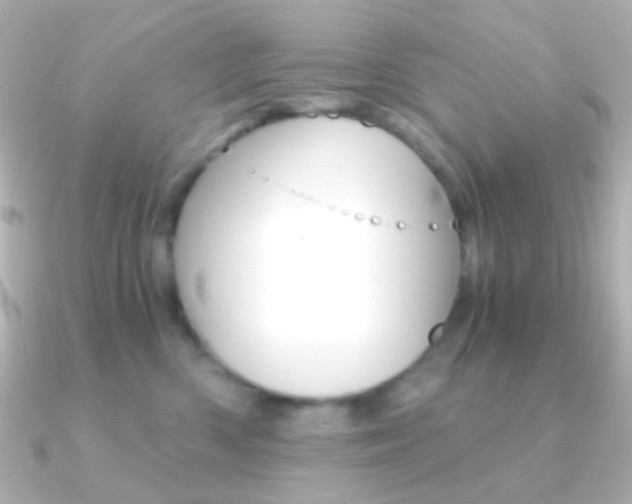 X0000091200426200708091043