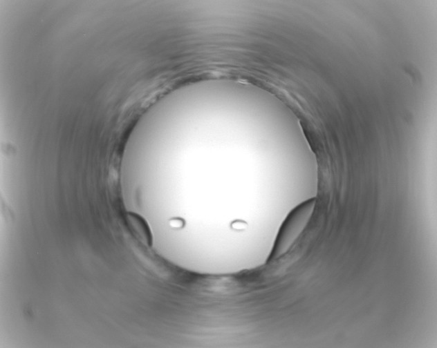 X0000091200427200708091043