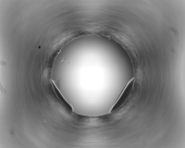 X0000091200428200708091043